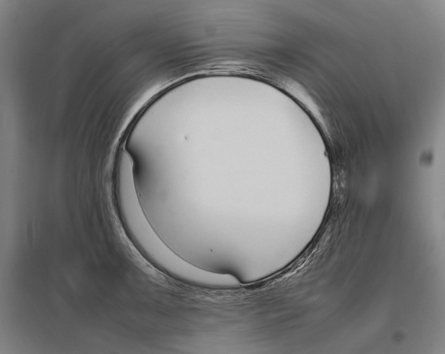 X0000096651091200803041144