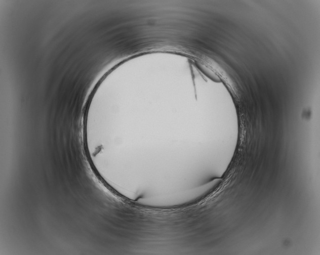 X0000096651092200803041144