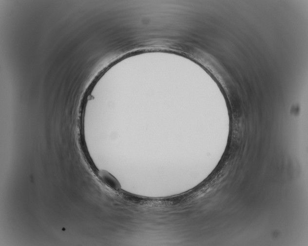 X0000096651093200803041144