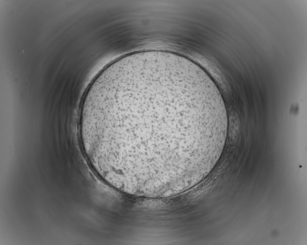 X0000096651094200803041144