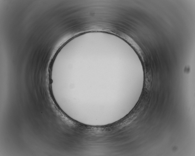 X0000096651096200803041144