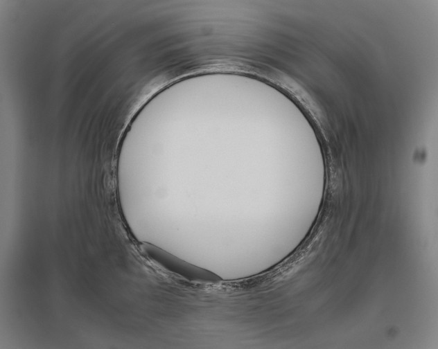 X0000096651097200803041144