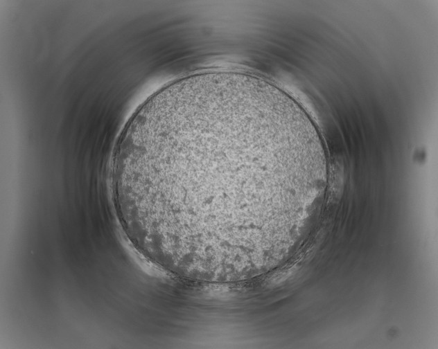 X0000096651098200803041144