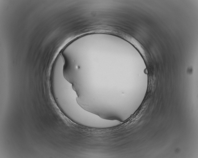 X0000096651099200803041144