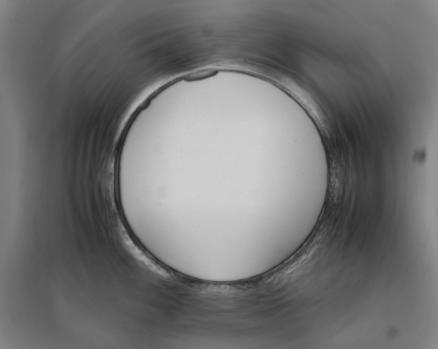 X0000096651100200803041144