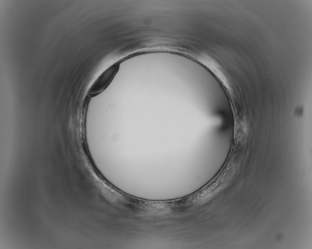 X0000096651101200803041144