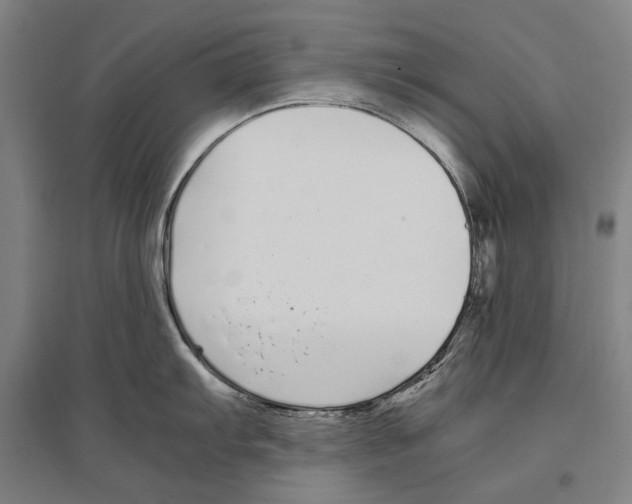 X0000096651103200803041144