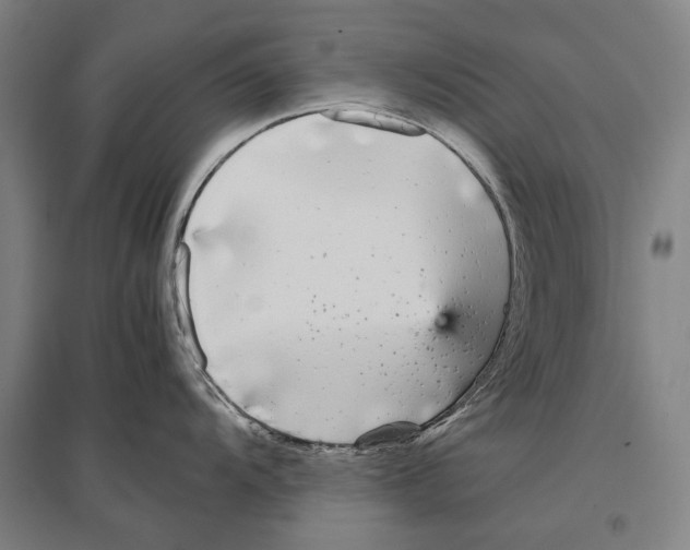 X0000096651104200803041144