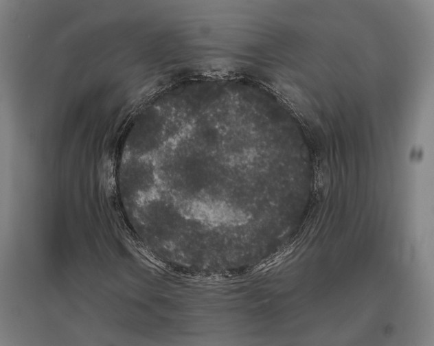 X0000096651106200803041143