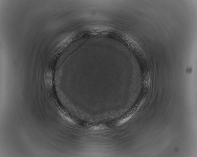 X0000096651108200803041143