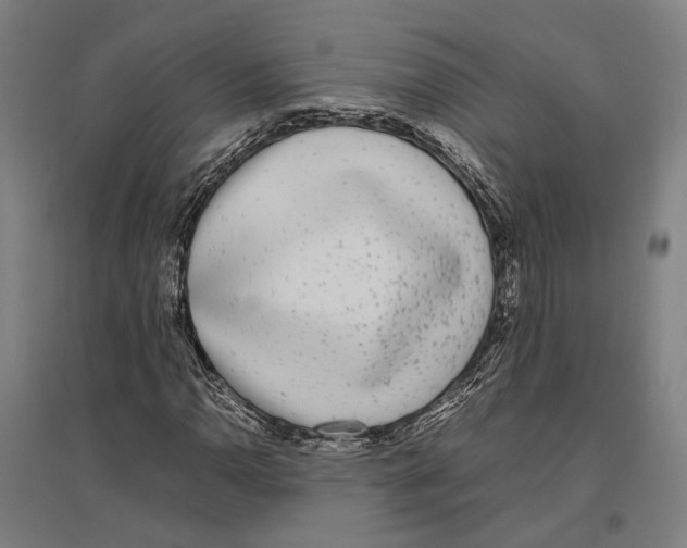 X0000096651110200803041143