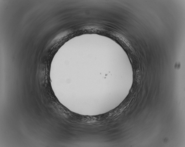 X0000096651111200803041143