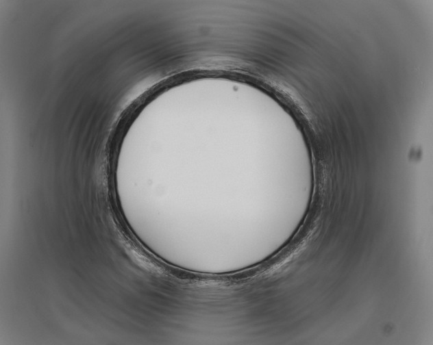 X0000096651114200803041143