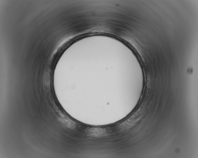 X0000096651115200803041143