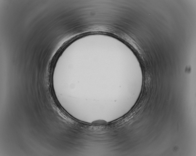 X0000096651116200803041143