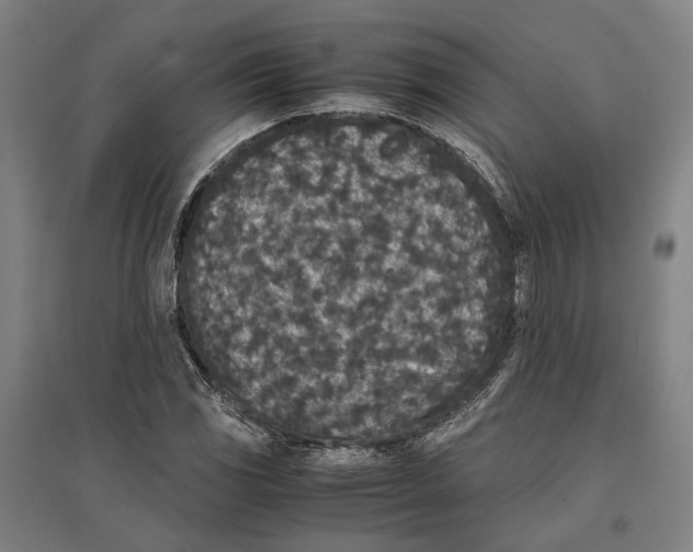 X0000096651117200803041143