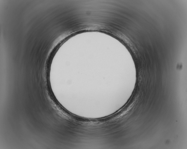 X0000096651122200803041143