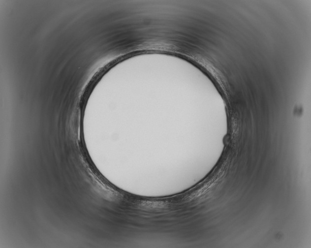 X0000096651123200803041143