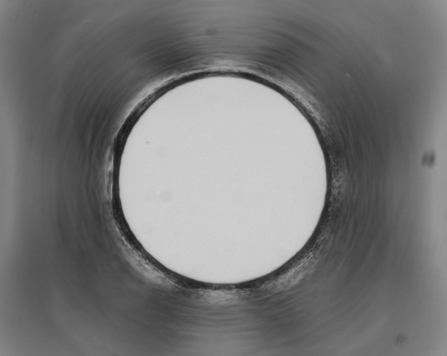 X0000096651126200803041143