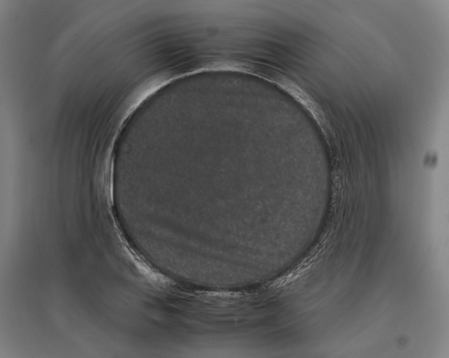 X0000096651127200803041143