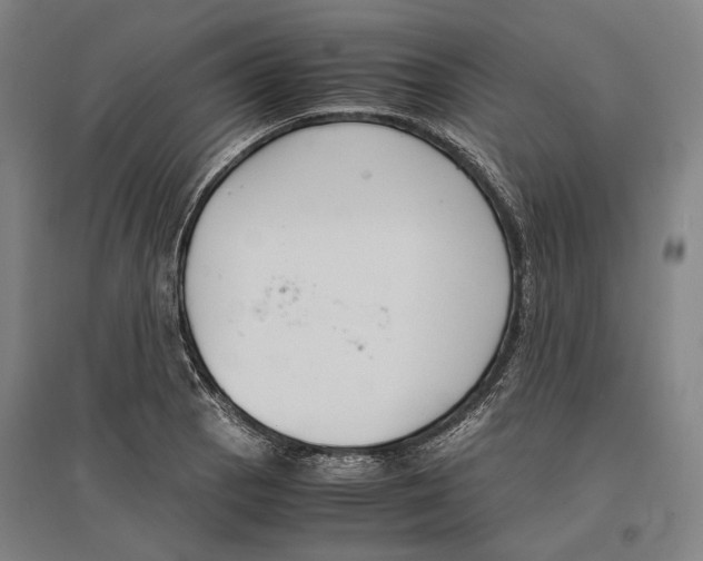 X0000096651129200803041143