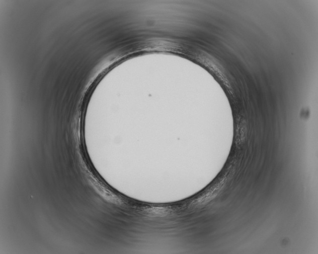 X0000096651130200803041143