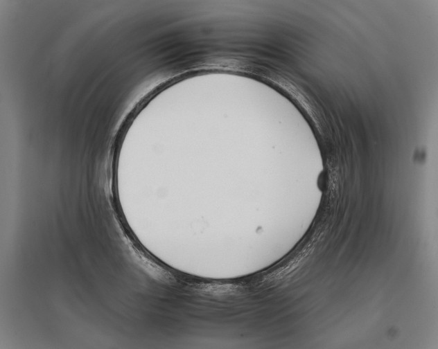 X0000096651131200803041143