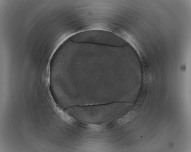 X0000096651132200803041143