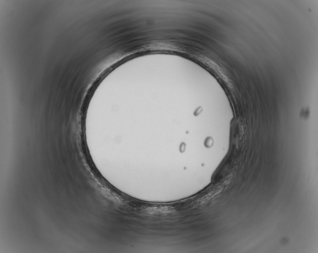 X0000096651133200803041143