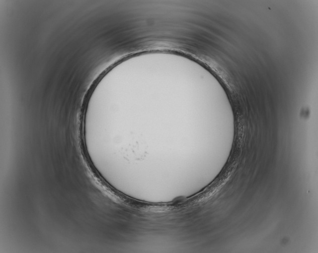 X0000096651134200803041143