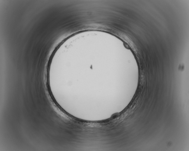 X0000096651136200803041143