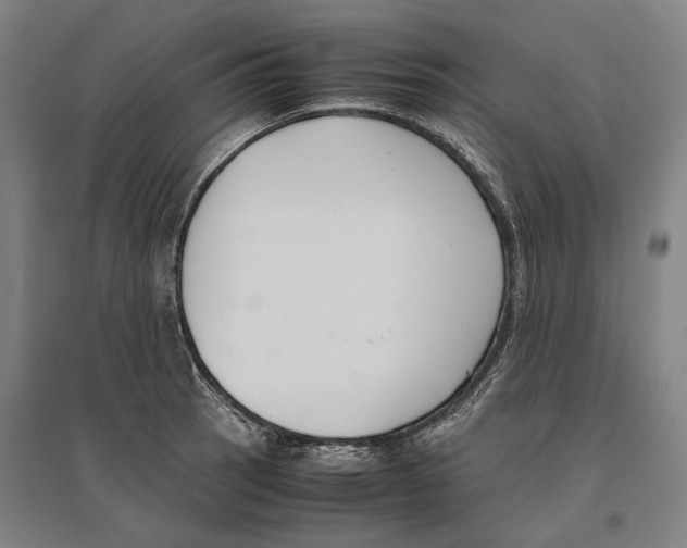 X0000096651137200803041143