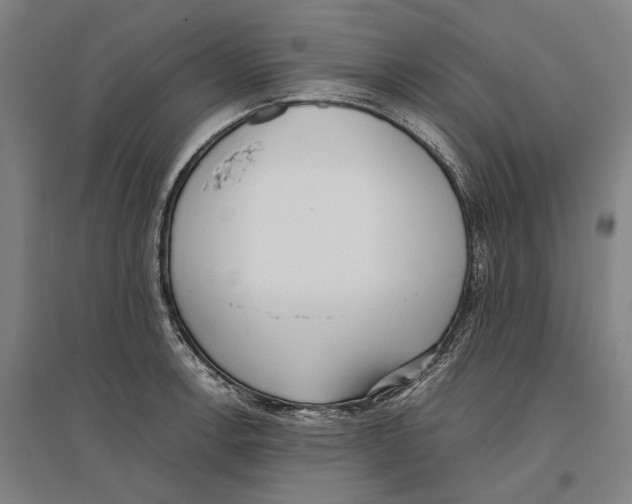 X0000096651138200803041143