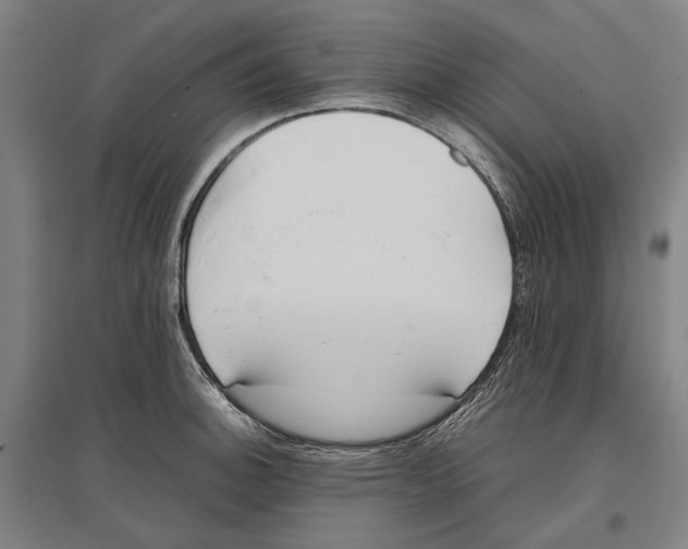 X0000096651140200803041143