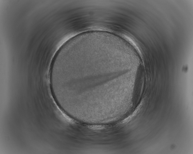 X0000096651141200803041143