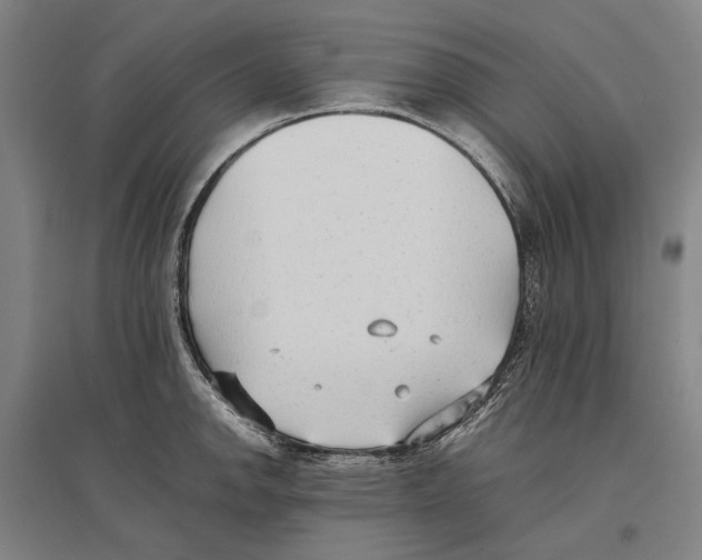 X0000096651142200803041144