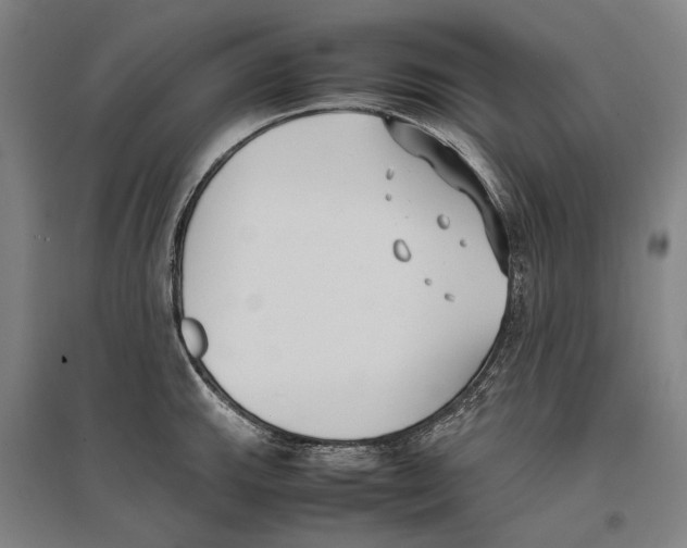 X0000096651143200803041144