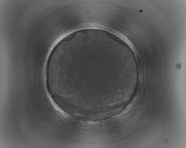 X0000096651144200803041144