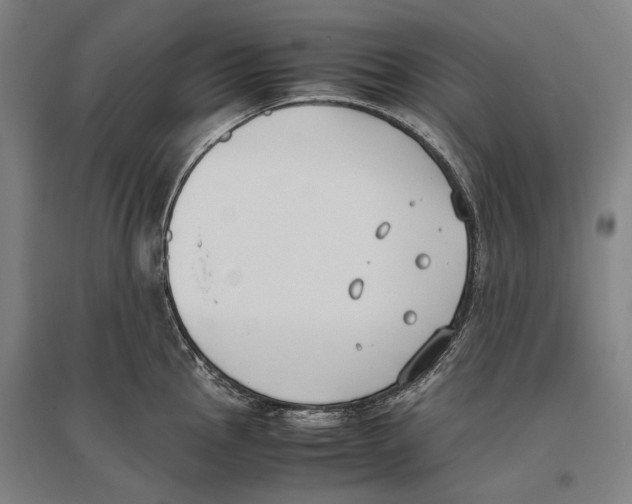 X0000096651145200803041144