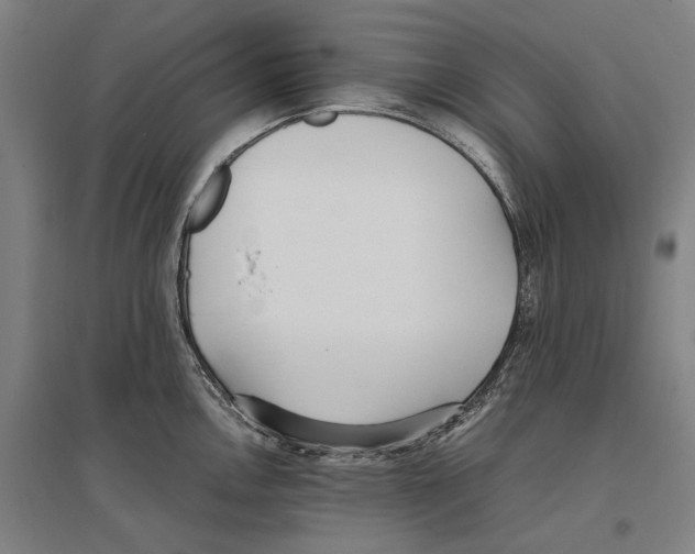 X0000096651146200803041144