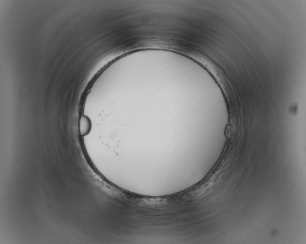 X0000096651147200803041144