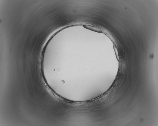 X0000096651148200803041144