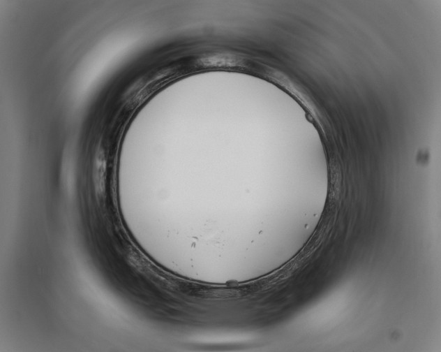 X0000096651151200803041144