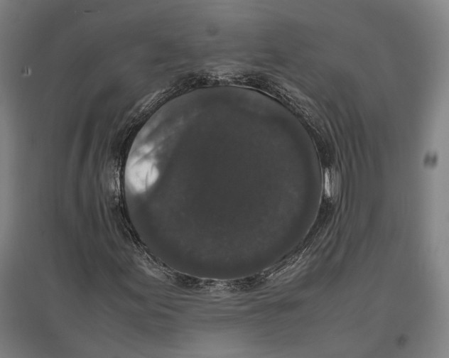 X0000096651155200803041143