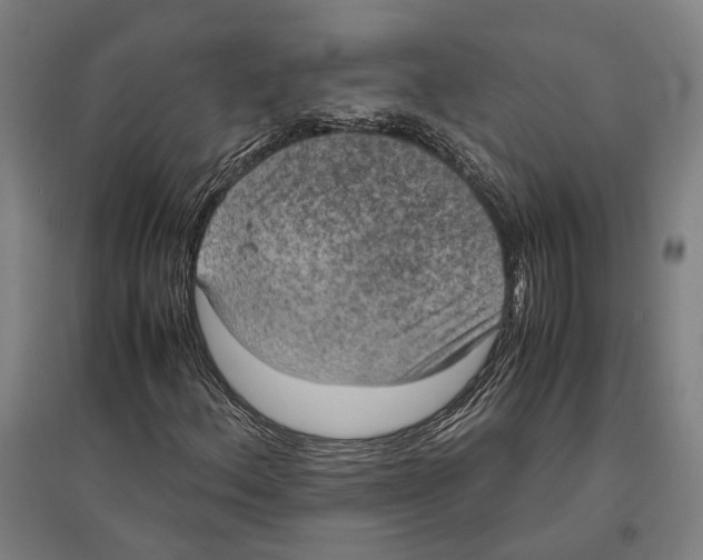 X0000096651156200803041143