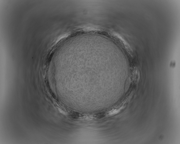 X0000096651157200803041143