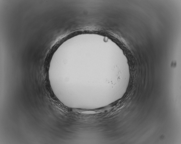 X0000096651160200803041143