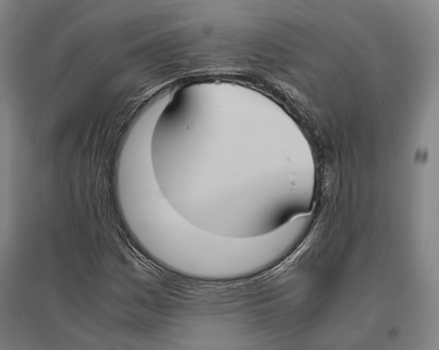 X0000096651161200803041143