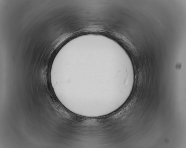 X0000096651162200803041143