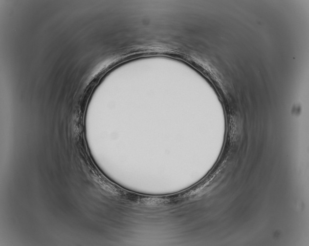 X0000096651163200803041143